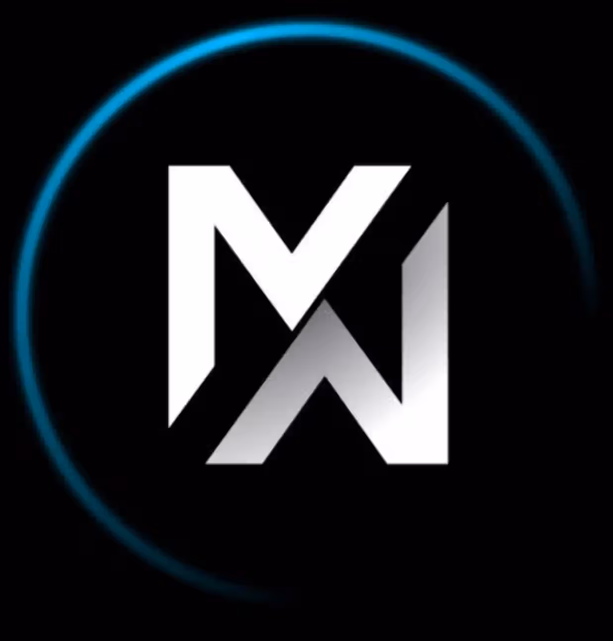 Metawin logo
